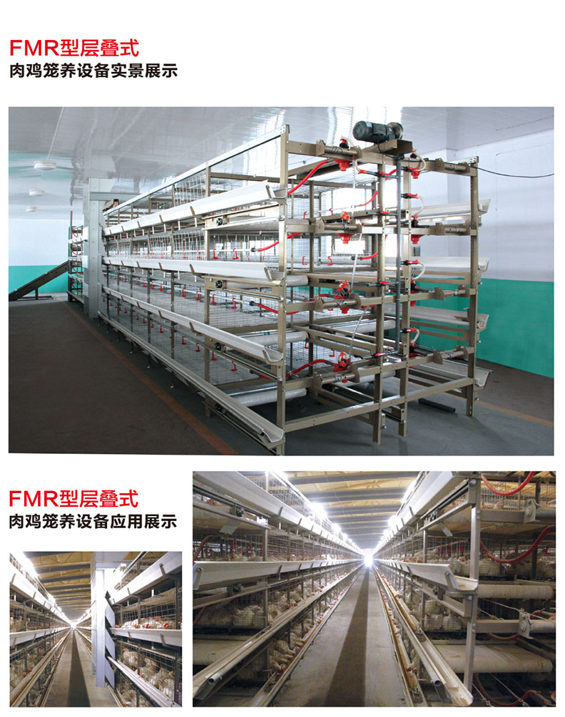 FMR層疊式肉雞籠養(yǎng)設(shè)備.jpg