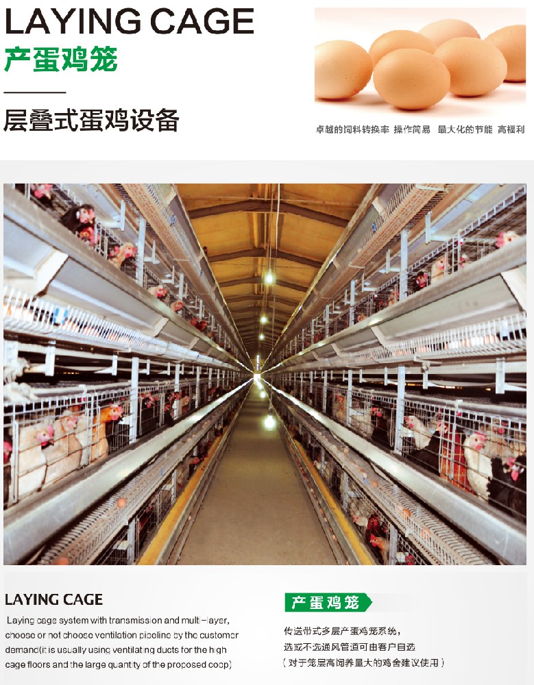 層疊式蛋雞設(shè)備