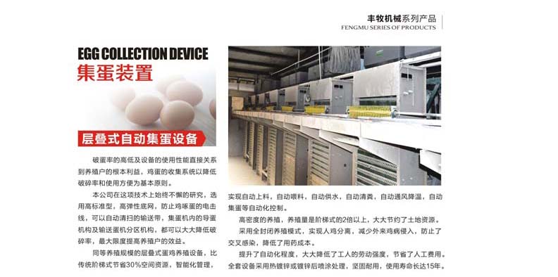 層疊式自動(dòng)集蛋設(shè)備