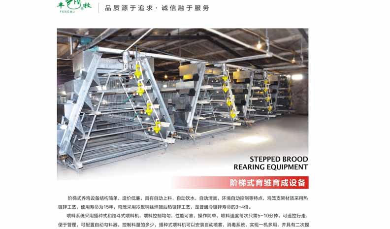 階梯式育雛育成設(shè)備