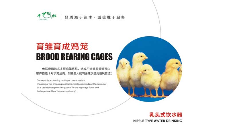 層疊式育雛育成設(shè)備